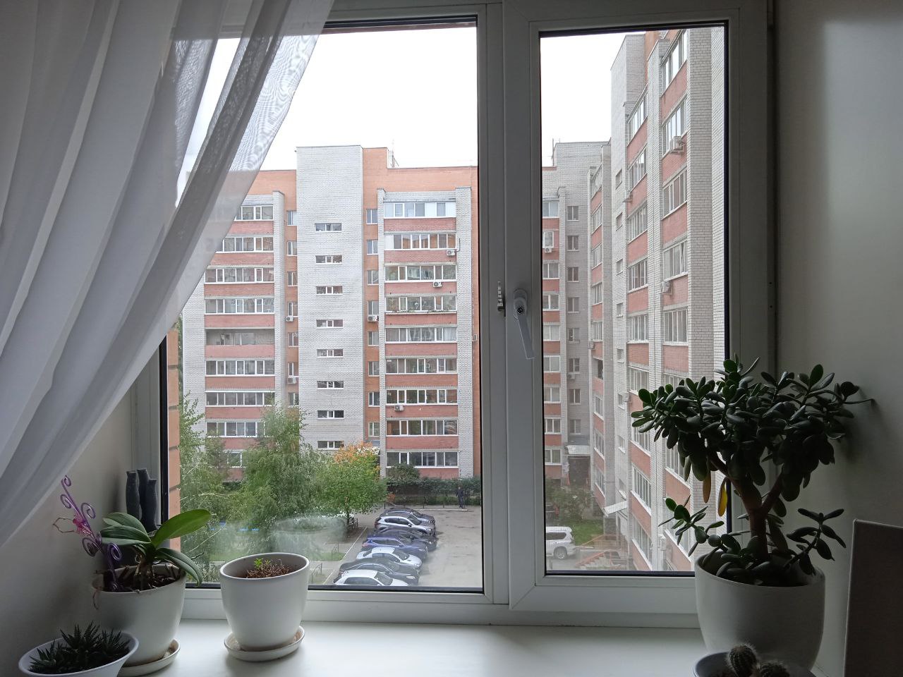 https://murom.delaem-okna.ru/storage/app/uploads/public/63f/331/482/63f331482975f325093091.jpg